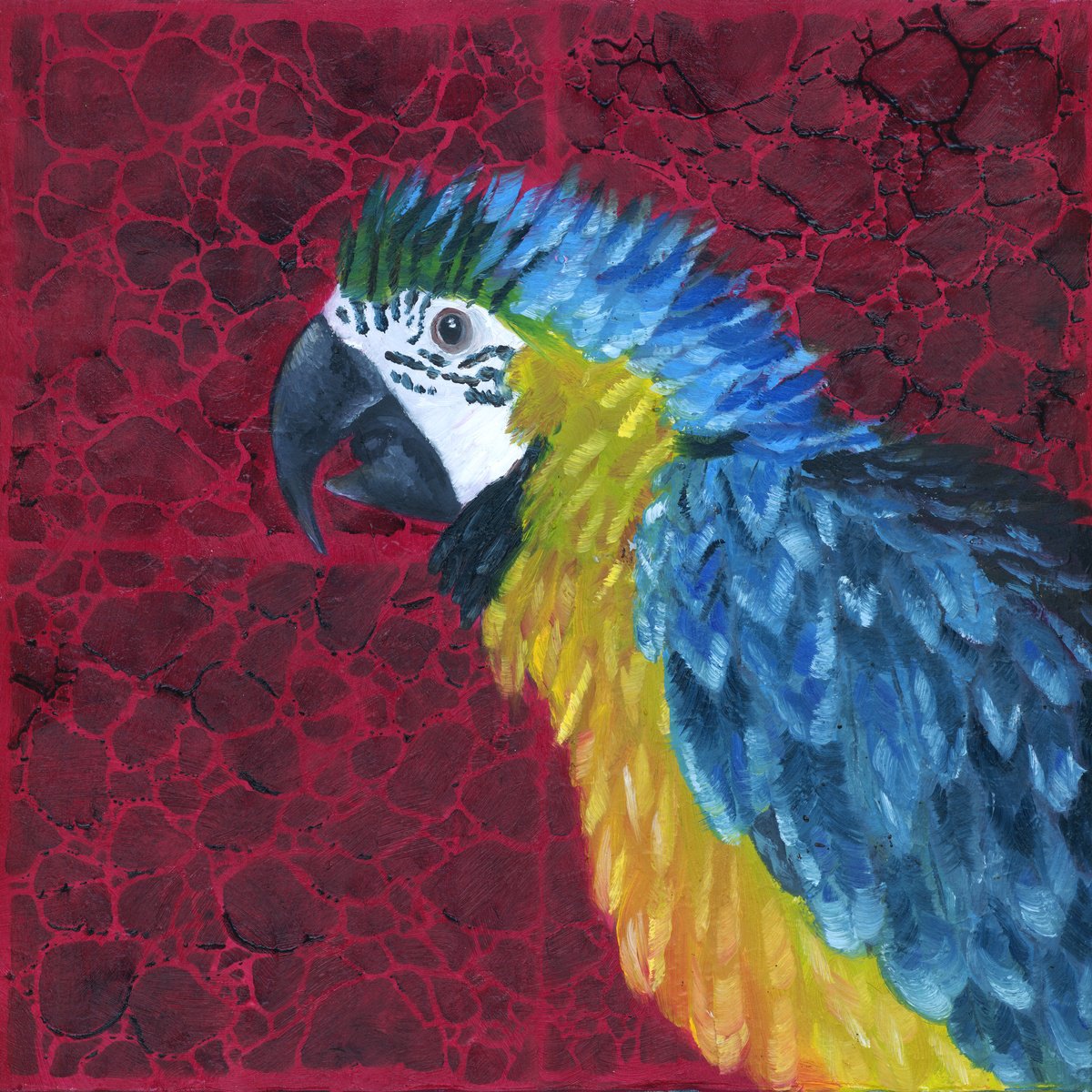 Expressive Animal Oil Painting By Rebeca Fuchs, 13 X 13", Macaw, Original Artwork