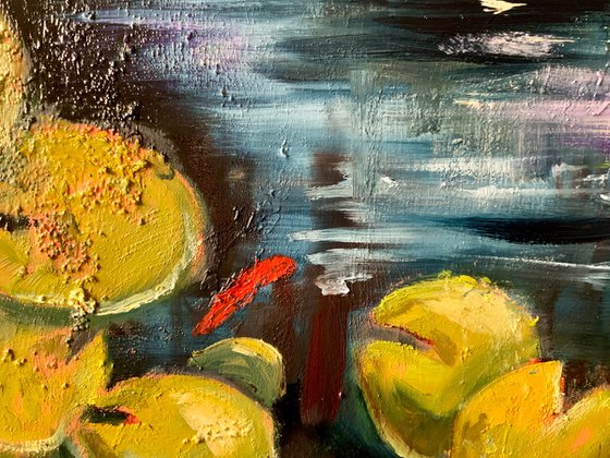 Where the Koi Dream