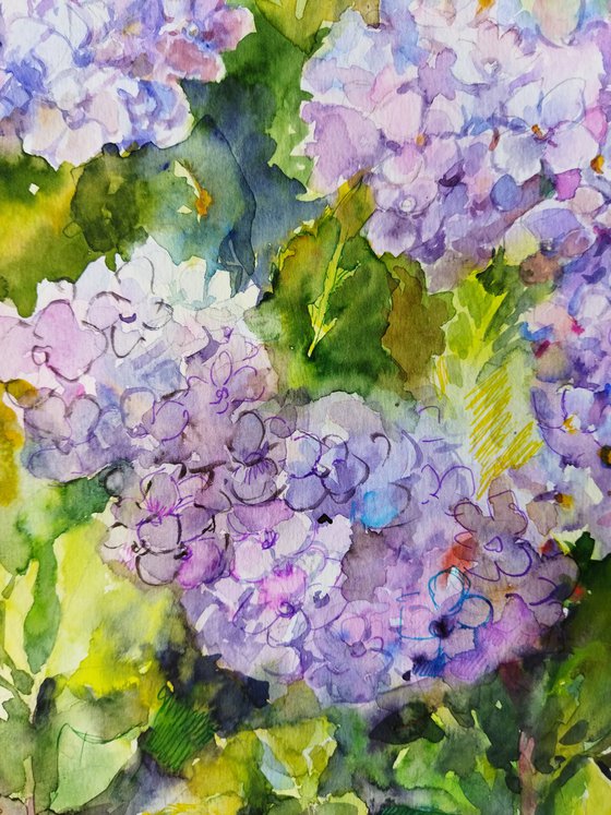 Blue Hydrangeas Art 9 by 12 inches