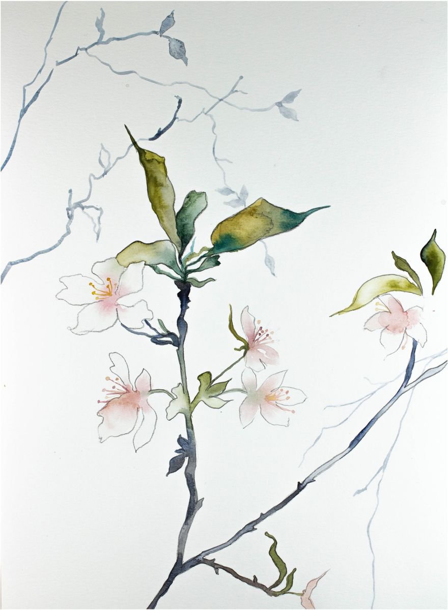 Cherry Blossom No. 8 by Elizabeth Becker