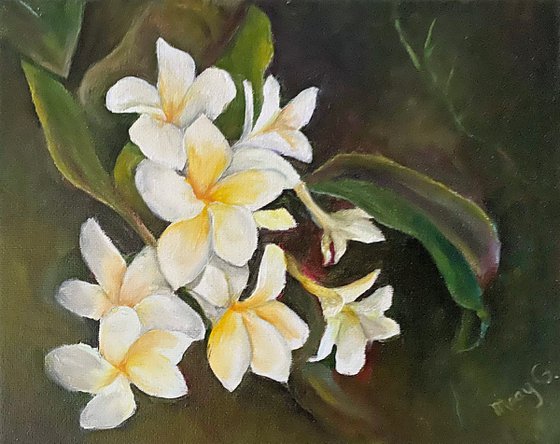 Awesome White Plumerias Original Oil Painting 8x10 fully framed