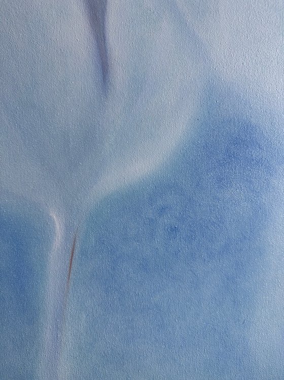 Clouds-Flowers