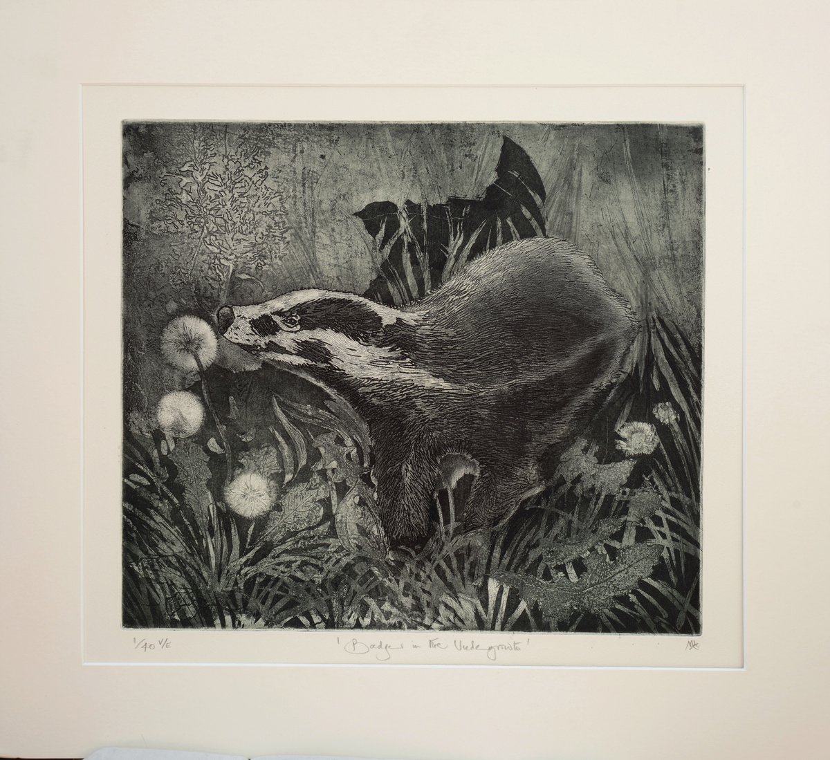 Illustrative Animal Etchings & Engravings By Isabel Hutchison, 22 X 20, Badger, Original Artwork