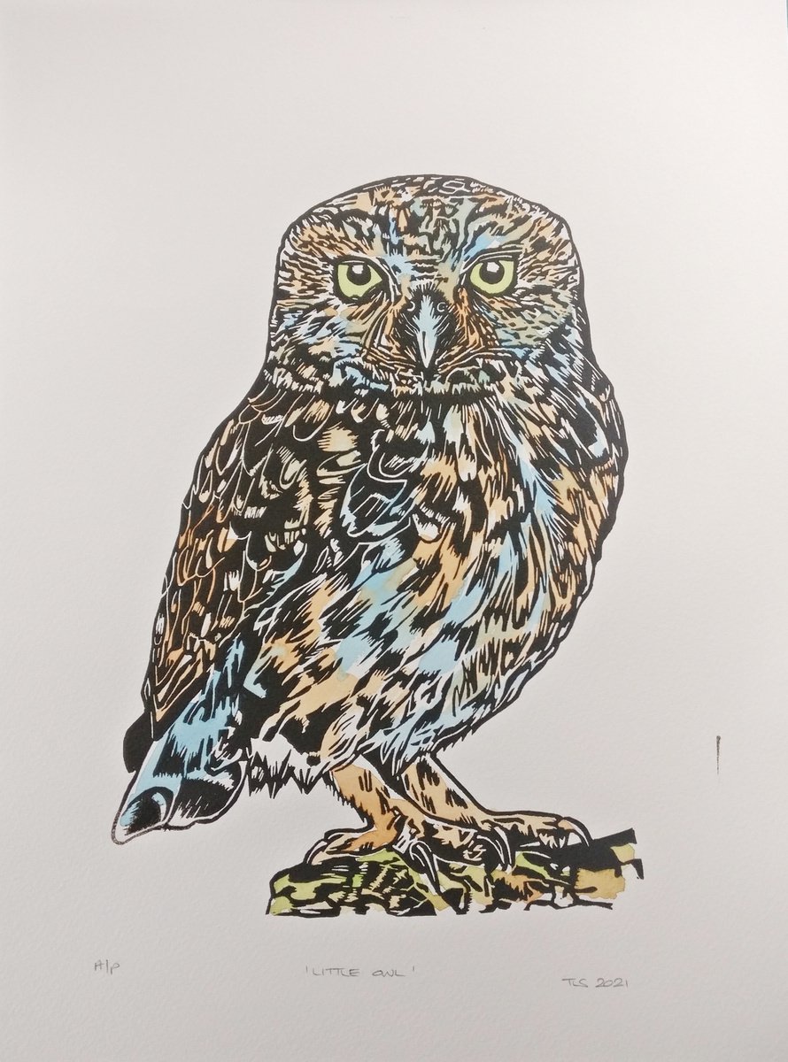 Little Owl by TARA SLATER