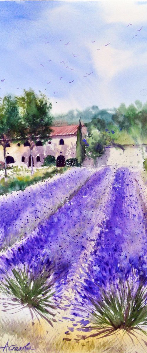 A Winery in Bonnieux by Ksenia Astakhova