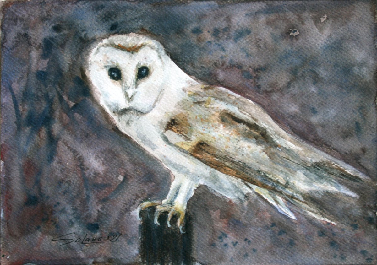 White Owl /  ORIGINAL PAINTING by Salana Art Gallery
