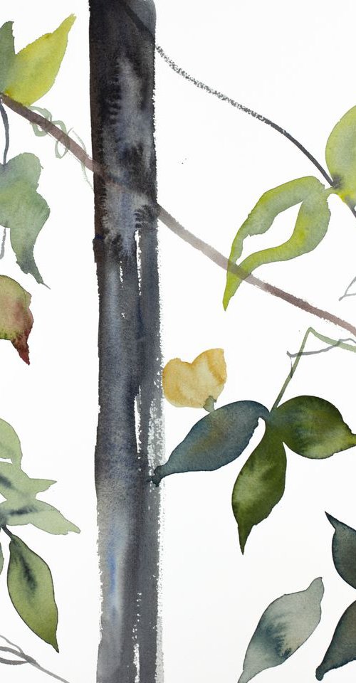 The Woods No. 85 by Elizabeth Becker