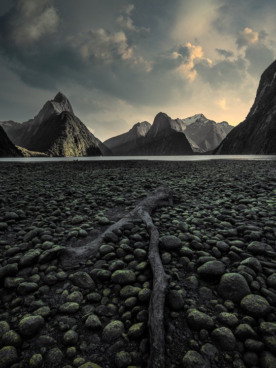 Serenity at Milford Sound