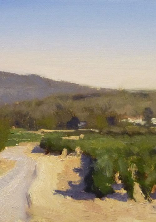 Vignes dans le Luberon by Pascal Giroud