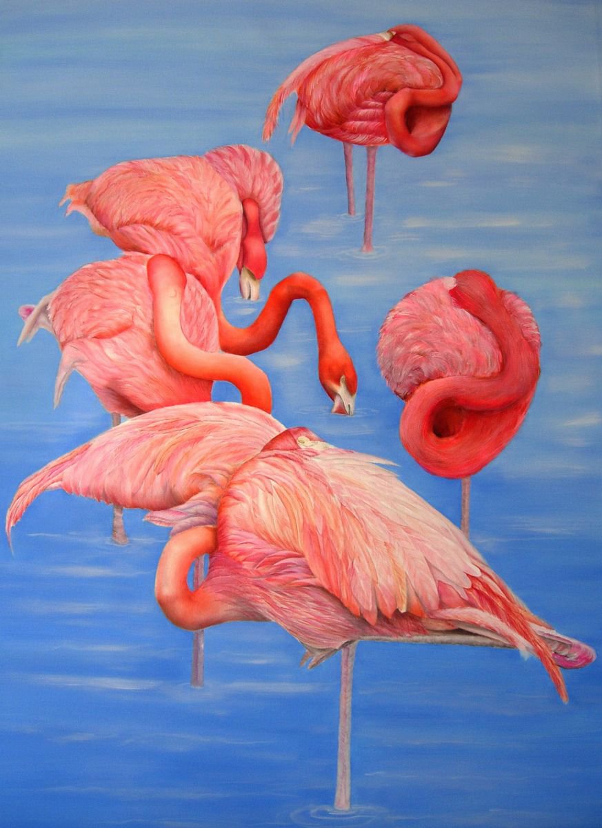 Flamingoes by Renee DiNapoli