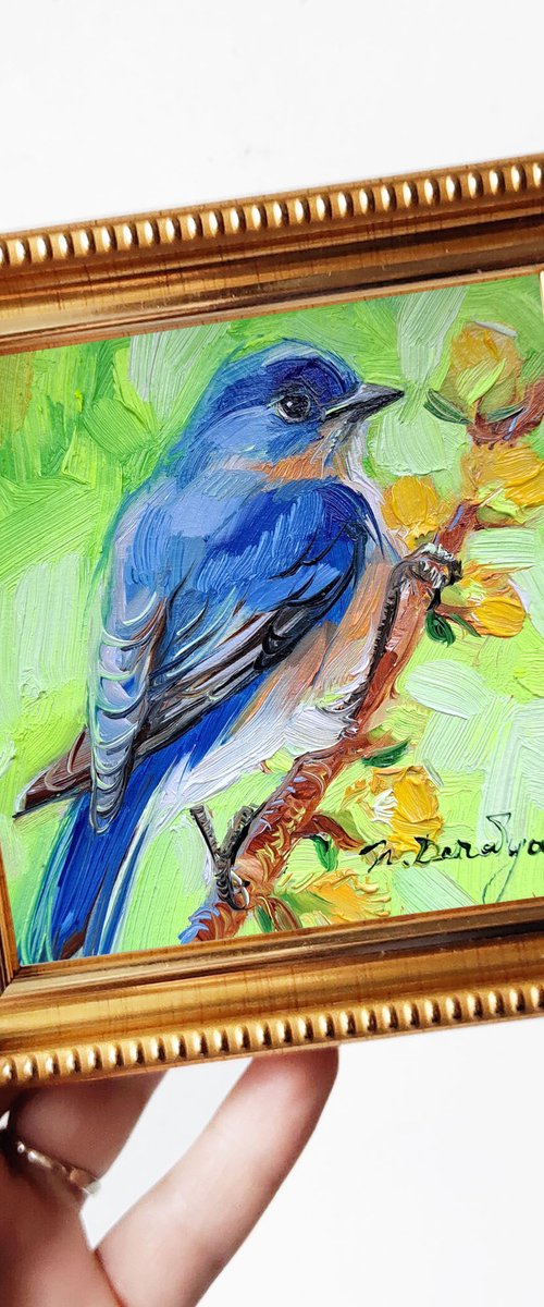 Eastern Bluebird by Nataly Derevyanko