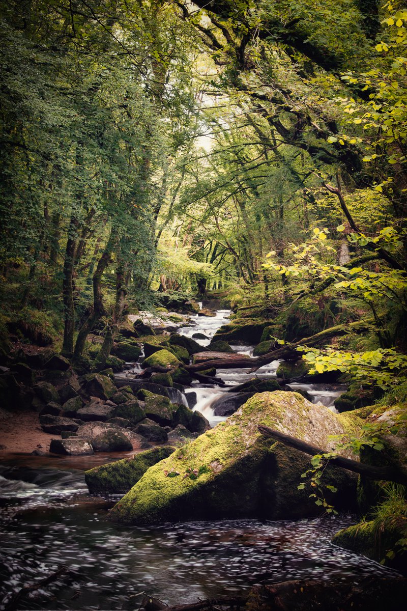 Photorealistic Photograph , Golitha Falls By Paul Nash, 16 X 24, Artwork For Sale On Artfinder