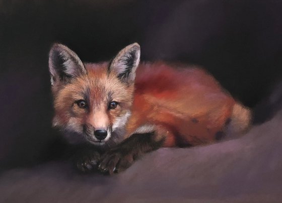 Red Fox