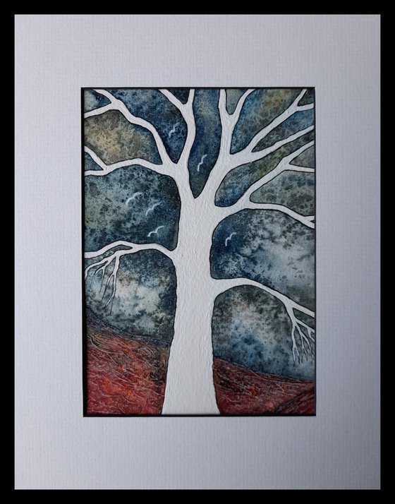 Quiet Calmness + Light in the Storminess