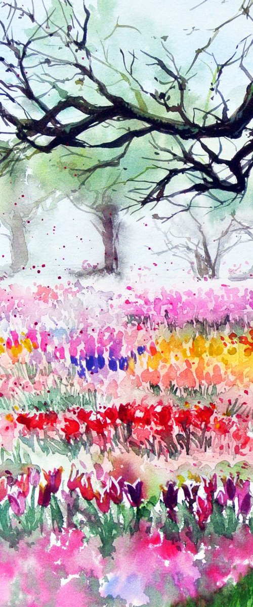 Tulips in Morges by Ksenia Astakhova
