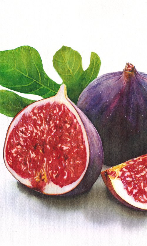 Fig by REME Jr.