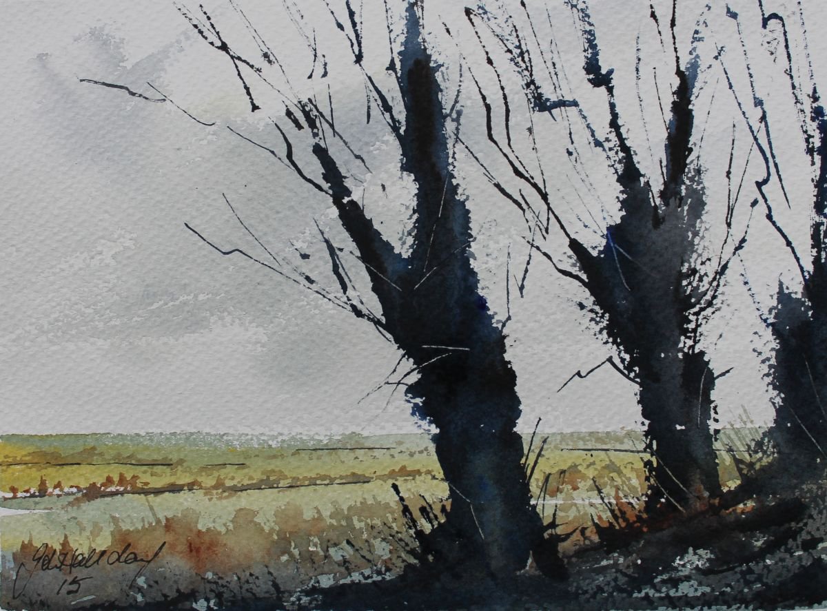 Through the trees by John Halliday