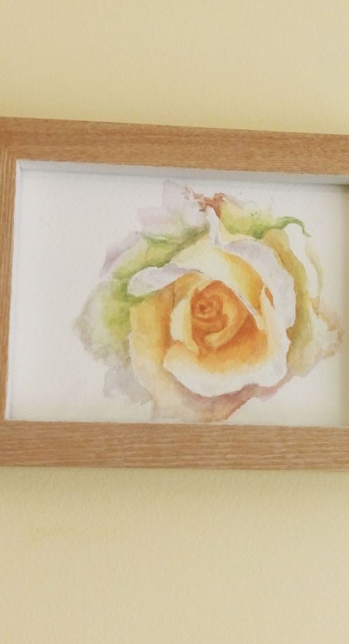 Rose #1 unframed. small gift idea. Botanical art. by Mag Verkhovets