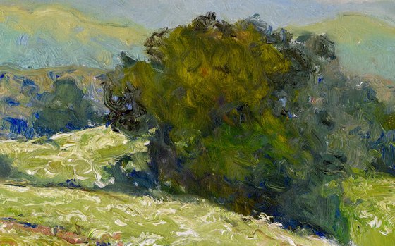Meadow in the Summer