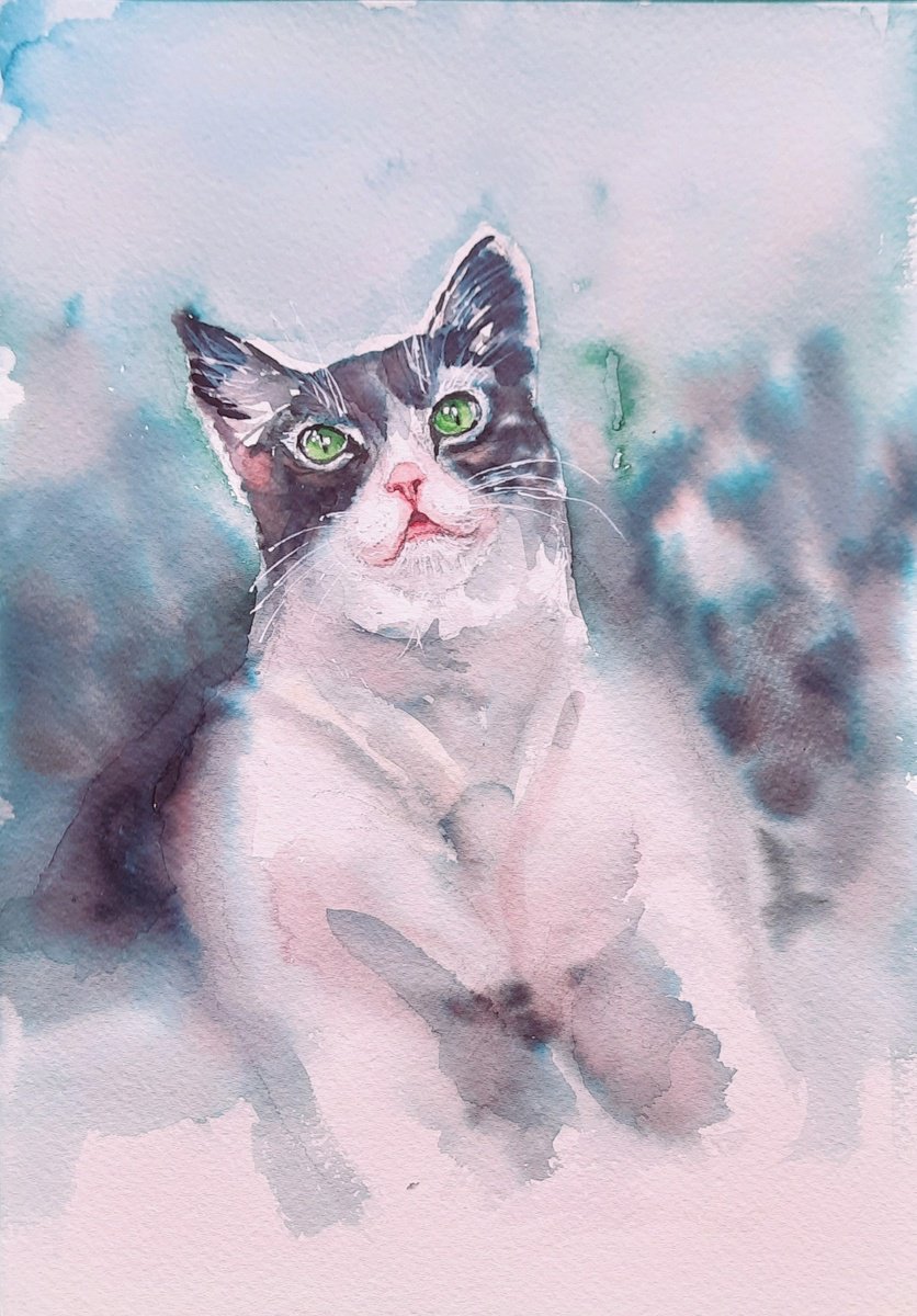 Impressionistic Watercolour , Gowrie The Cat By Asha Shenoy, 9 X 12, Artwork For Sale On Artfinder