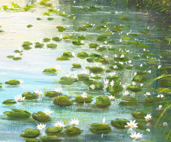 Serene lily pond