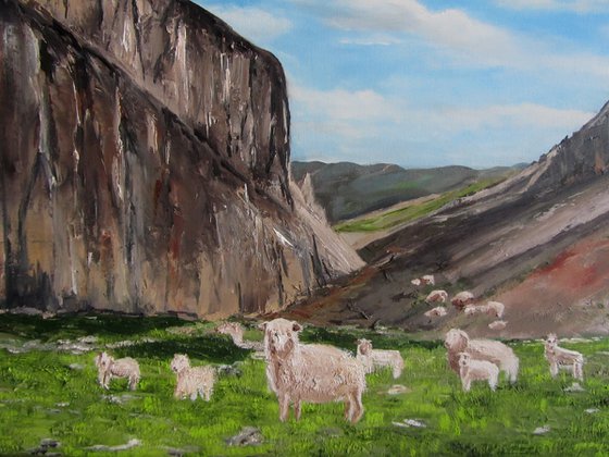 Summer  in  Mountains