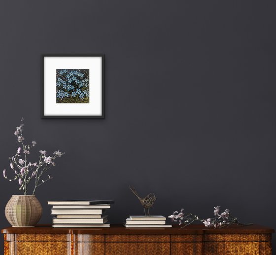 Midnight Forget Me Not