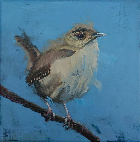 Wren