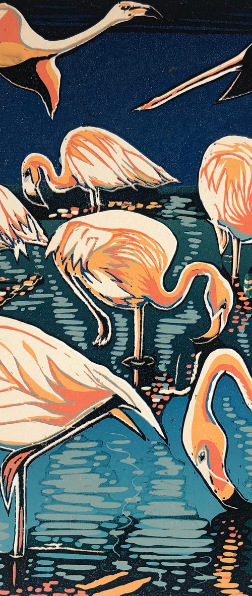Flamingo Hours by Marian Carter