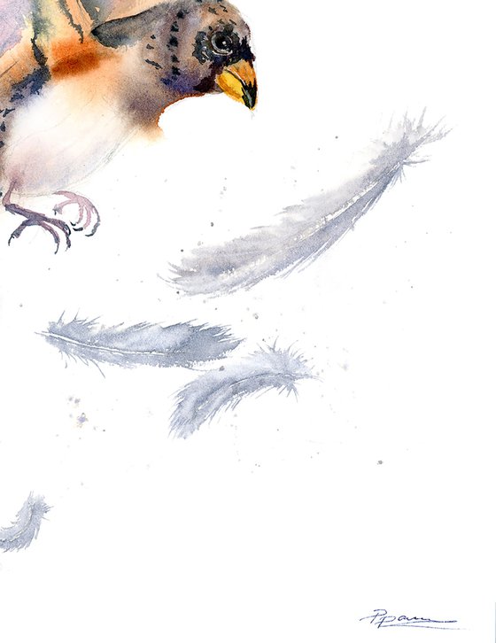 Bird and feather 3 ( 1 of 3) -  Original Watercolor Painting