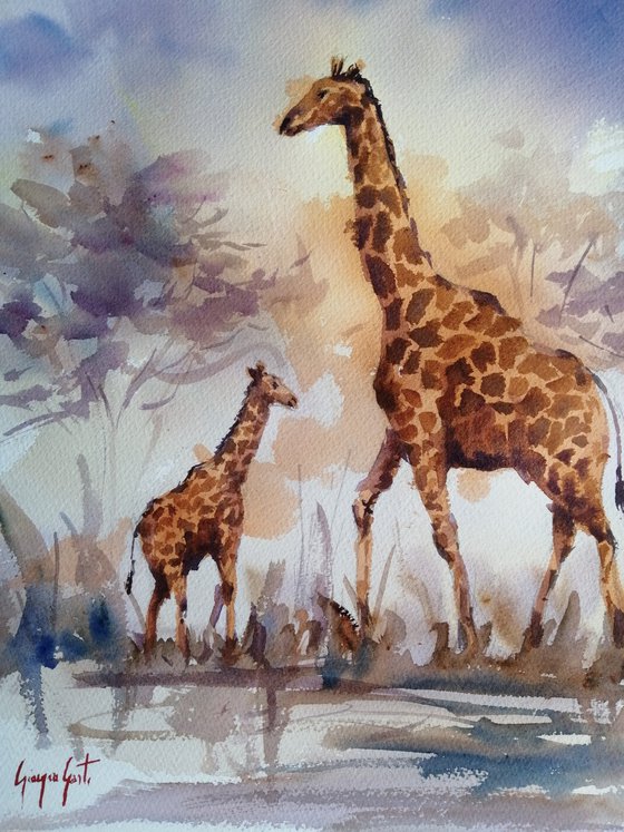 giraffes 7