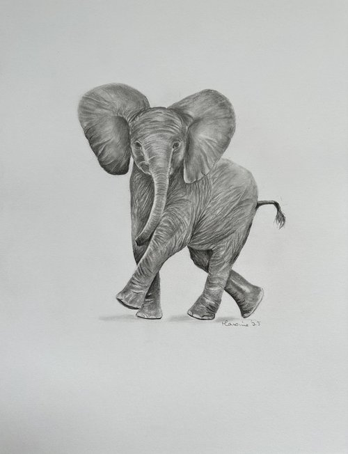Baby elephant by Maxine Taylor