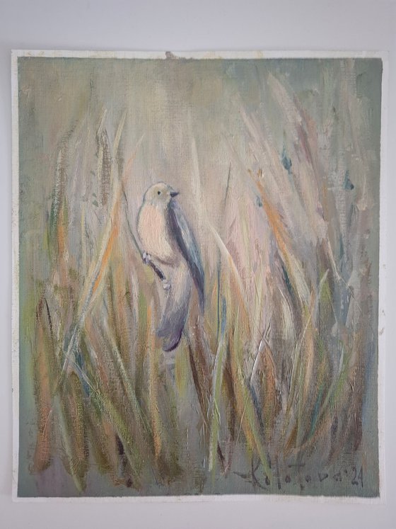 A Bird in a Blooming tree
