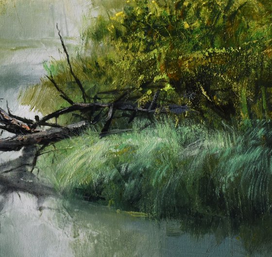 " The Young Greenery "