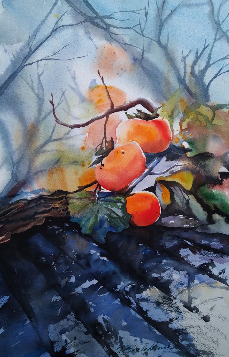 Persimmon - winter orange fruit by Olga Bezlepkina
