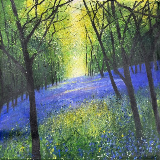 Carpet of Bluebells