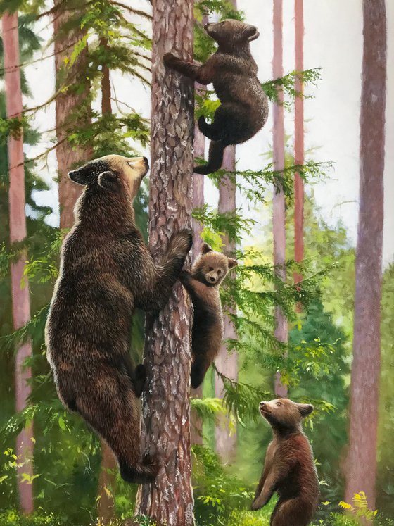 The bear-cubs are playing