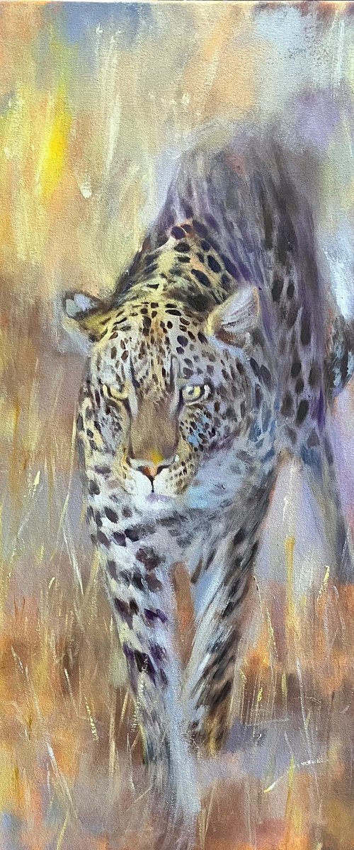 Savuti Leopard at Dusk by John Welsh