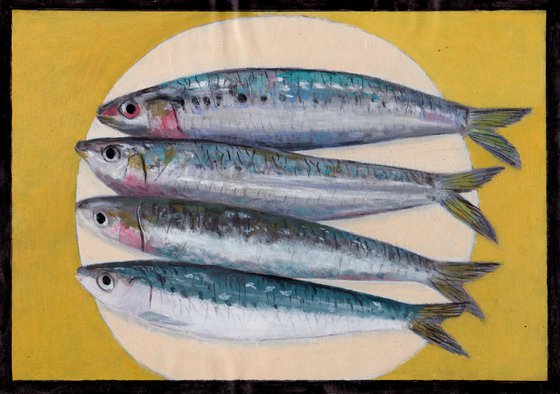 Fresh Cornish Pilchards