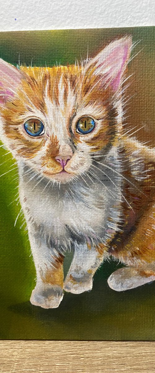 Ginger kitten oil painting by Bethany Taylor