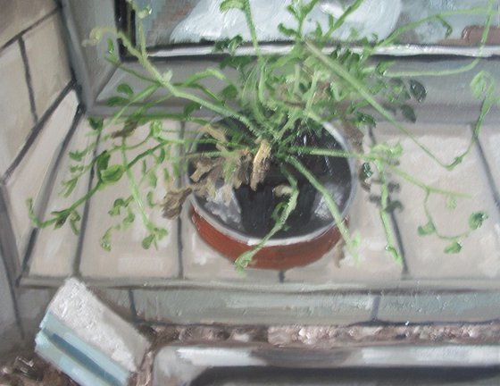 Plant in the Kitchen Window
