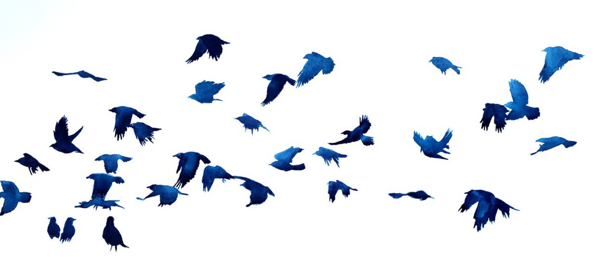 Expressive Animal Ink Drawing By Shabs Beigh, 41 X 20", Flight 3, Original Artwork