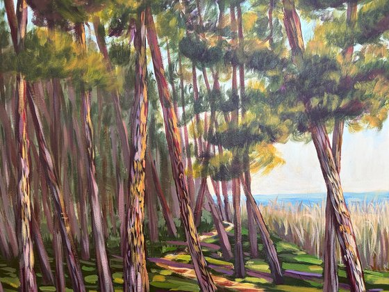 Walk Along the Coast