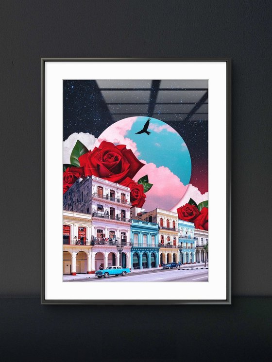 Cuba&Roses