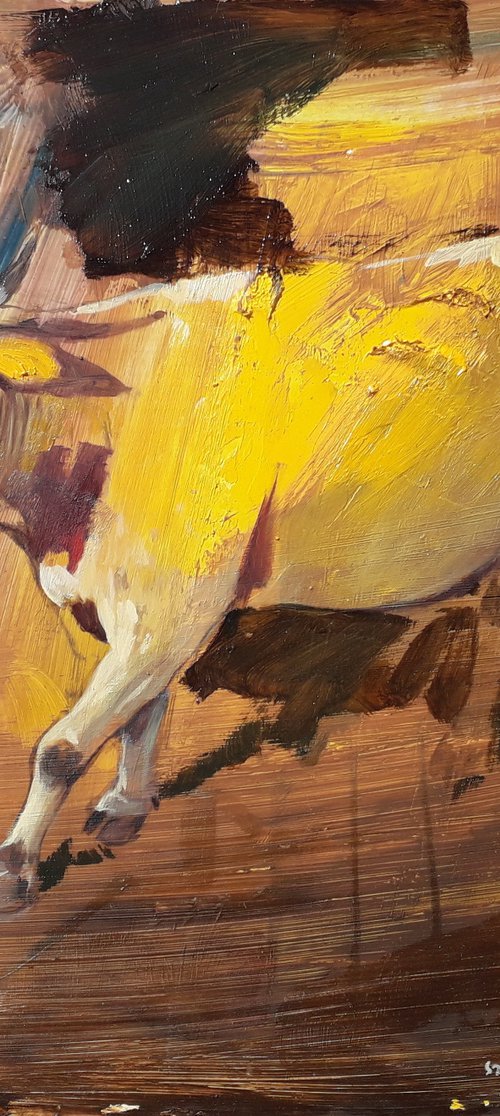 yellow cow by Róbert Kormos
