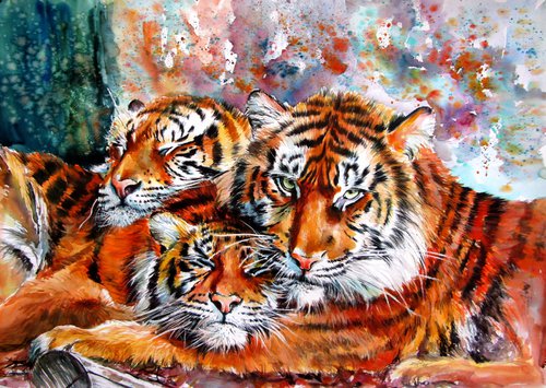 Resting tigers by Kovács Anna Brigitta