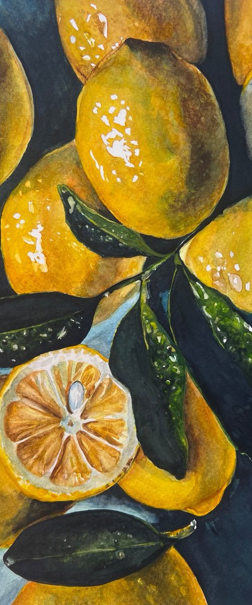 Lemons by Sarah Stowe
