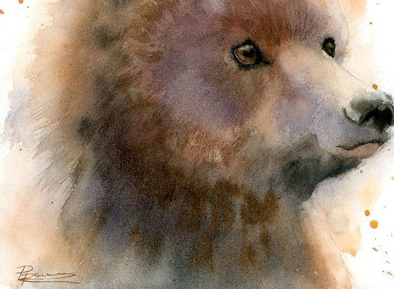 Bear portrait