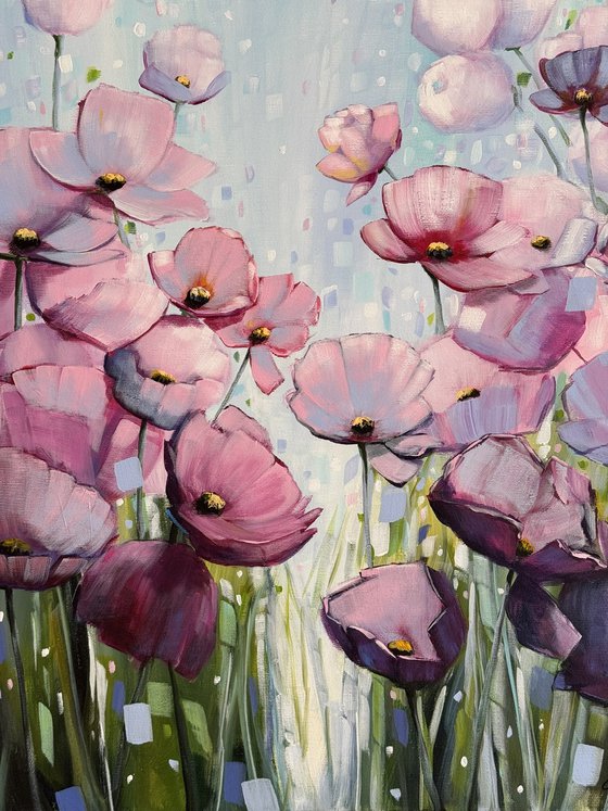 Poppies Land 16