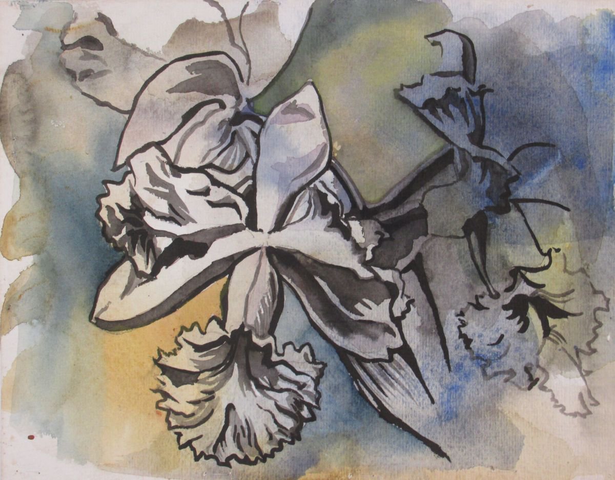 cattleya orchid drawing with watercolor by Alfred Ng